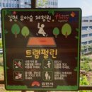 김천 유아숲체험원 이미지