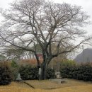 어계고택 이미지