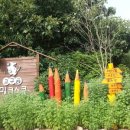 고구려 목장 이미지