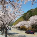 신선대산복로 이미지