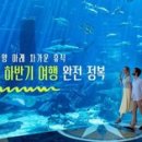 베스트어린이전용 수영장 이미지