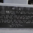 창원 외동지석묘 이미지