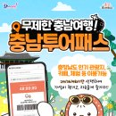 충남