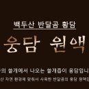 웅담 티스토리