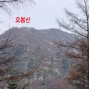 먹골 이미지