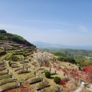 예전묘원