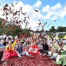 장수공설운동장 축구장 | 2025년 전국축제 09월 일정