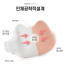 꼬꼬치 | [리빙용품]허리 통증 끝! 사무실 필수템 다니카 꼬꼬치 메모리폼 등받이 쿠션 솔직 후기