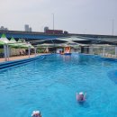 왕숙천둔치공원(물놀이장) | 왕숙천 물놀이장 구리 왕숙천둔치공원 아이와 가볼만한곳