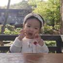 17개월 아기랑 서울대공원(꿀팁 가득)