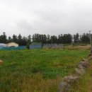 표선리-26 이미지