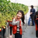 혜일농장 이미지