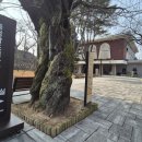 충청문화사