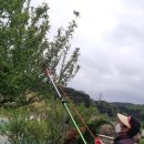 가형농장 이미지