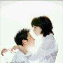정과사랑
