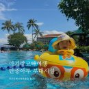 코타 샹그릴라 탄중아루 수영장,키즈클럽,스타라운지 아기랑 이용해보기