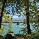 위너스노래방 | [캐나다 워홀 ep.8]인생 버킷리스트 달성이랑 소소한 동네 생활