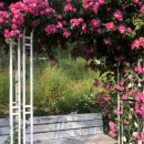 슬립인더가든 이미지