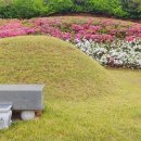 광주이씨 시조비 묘역 이미지