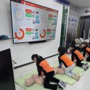 숲속반디 이미지