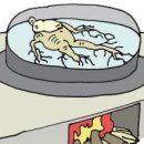 하늘나라산삼