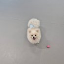 중대로2길 | 12월