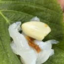 씨유제주한림한수점 | 제주 한림수협 다목적어업인지원센터 회포장 상차림재방문