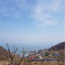 풍도맛집민박 이미지