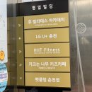 키크는 나무 이미지