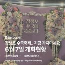 울산 장생포 수국축제 고래문화마을 반려동물 강아지 출입규제 실시간 개화현황 절망편 (6월 7일 기준)