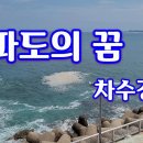 파도의 꿈 / 차수경 이미지