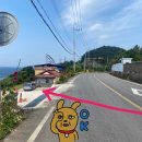 선바우 집 이미지