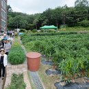 산새도 이미지