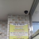 롤리팡 이미지