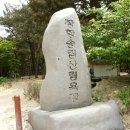 송림향 이미지