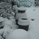 대지의축복 이미지