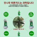 (주)피러스 이미지