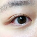 안산 중앙동 속눈썹펌 추천 후기 [아이엔뷰티스튜디오 안산점]