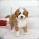 유어라운지 이미지