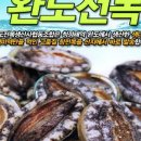 완도12호 네이버블로그