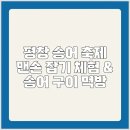 모두의송어