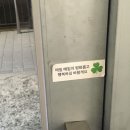사랑하는 5월에게