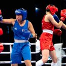 월드복싱 이미지