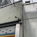 메이져 치과기공소 이미지