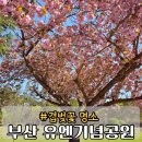 은행마을공원 화장실 | 부산 UN공원 유엔기념공원 겹벚꽃 라일락 근황 실시간 후기 가볼만한곳