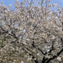 더벤티김천덕곡점 이미지