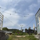 핫우드커피 | 프라이빗한 방갈로가 있는 이색카페 핫우드커피 후기