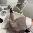 위주테크 | 청주 가경동 미용실 두피관리 후기｜찰스리헤어테크 가경터미널점 힐링 스파체험