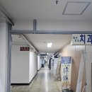 여의도씨티약국 네이버블로그