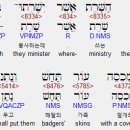 베게드 이미지